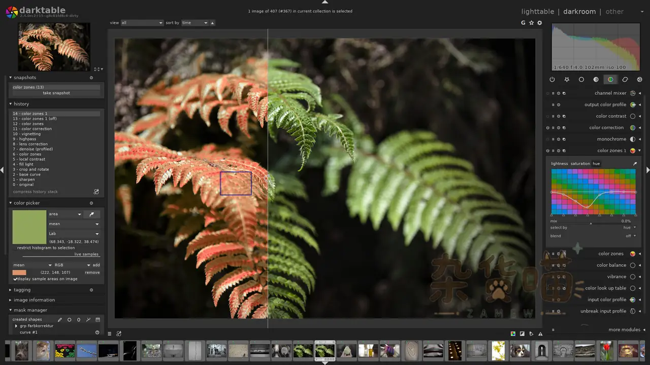 darktable darkroom 开发界面:历史记录、色彩区域与掩模管理