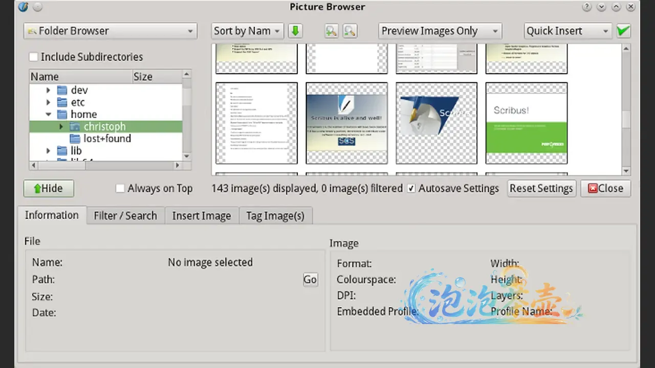 Scribus 官方 Picture Browser 界面截图:文件夹浏览、图片预览与标签管理